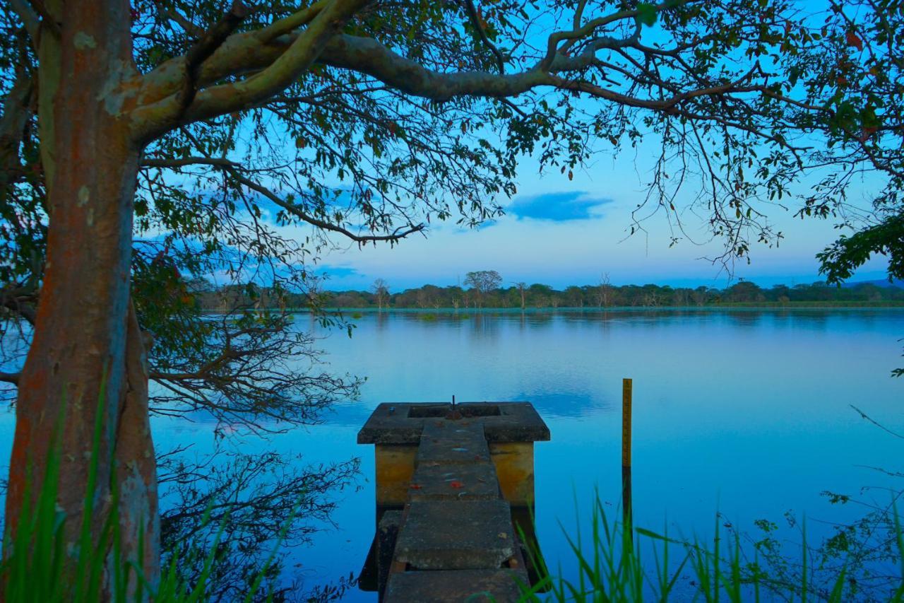 Hidden Lake Cottages Sigiriya Exterior photo